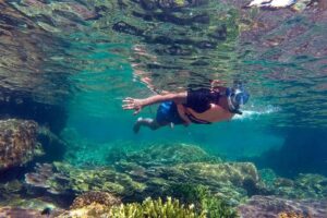 Snorkel Cabo Pulmo