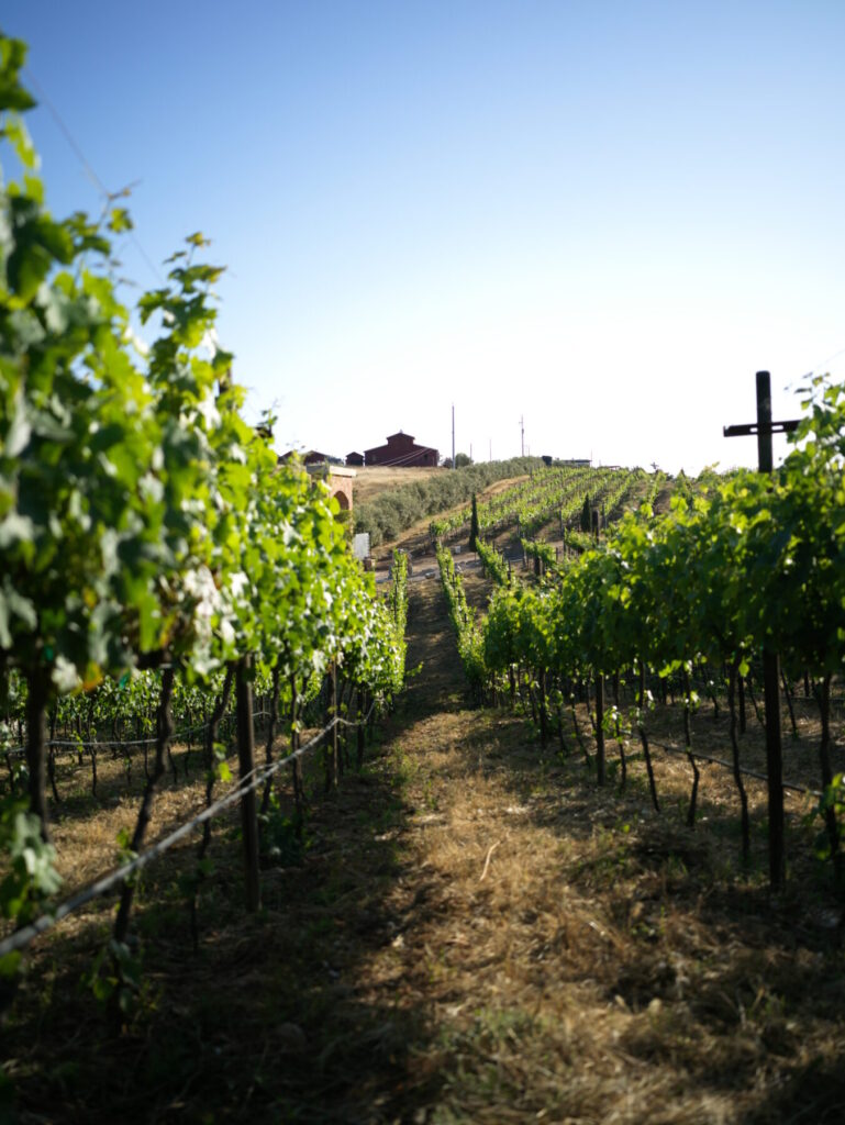 Baja California, Valle de Guadalupe