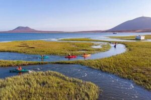 Los Humedales San Quintin