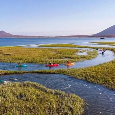 Los Humedales San Quintin