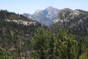 San Pedro Martir Hiking