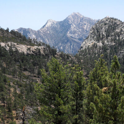 San Pedro Martir Hiking