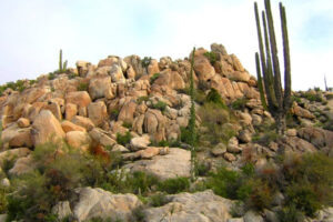 catavina jardin de las rocas