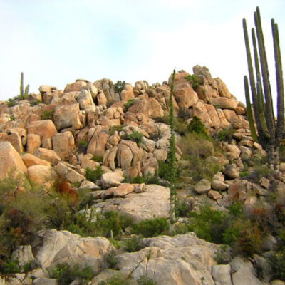 catavina jardin de las rocas