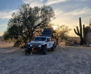 Catavina RV Park 1 e1740975037108