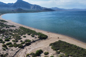 Playa SoLa Bahía de los Ángeles Playa SoLa Bahía de los Ángeles