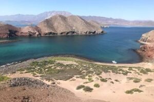 Punta la gringa Bahía de los Ángeles Punta la gringa Bahía de los Ángeles