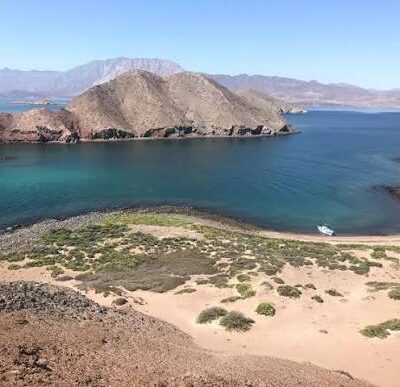 Punta la gringa Bahía de los Ángeles