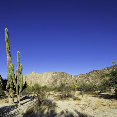 San_Felipe_BC_VALLE-DE-LOS-GIGANTES_FE_MD